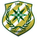 Samambaia U20 badge