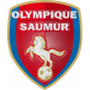 Saumur badge
