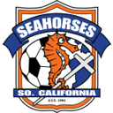 Seahorses badge