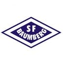 SF Baumberg badge