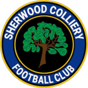 Sherwood Colliery badge