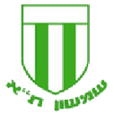 Shimshon Tel Aviv badge