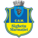 Sighetu Marmaţiei badge
