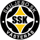 Skiljebo badge