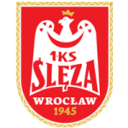 Sleza Wroclaw W badge