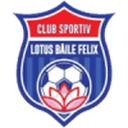 Sânmartin badge