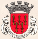 São Salvador badge
