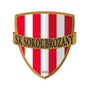 Sokol Brozany badge