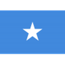 Somalia badge