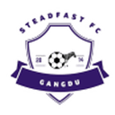 Steadfast badge