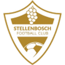 Stellenbosch badge