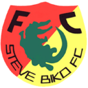 Steve Biko badge
