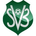 Suriname badge