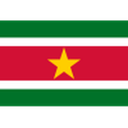 Suriname W badge