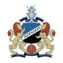 Szeged 2011 badge