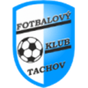 Tachov badge