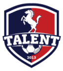 Talent Warszawa U19 badge