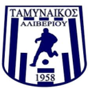 Tamynaikos Aliveriou badge