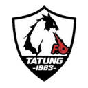 Tatung badge