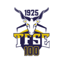 TFSE Budapest badge