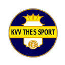 Thes Sport badge