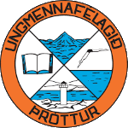 Thróttur Vogar badge