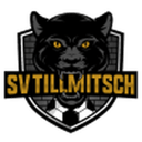 Tillmitsch badge