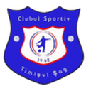 Timişul Şag badge