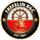 Trefelin badge