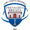 Tricolorul Breaza badge