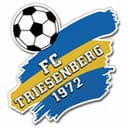 Triesenberg badge