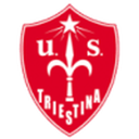 Triestina badge