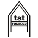 tst Fodbold badge