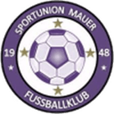 Union Mauer badge