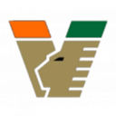 Venezia U19 badge