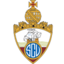 Vianense badge