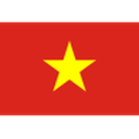 Vietnam badge