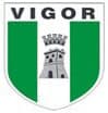 Vigor Lamezia badge