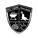 Vigri Maarjamäe badge