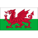 Wales badge