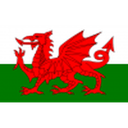 Wales U19 badge