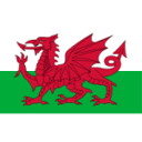 Wales U19 W badge