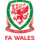 Wales W badge