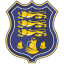 Waterford badge