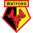 Watford W badge