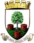 Wells City badge