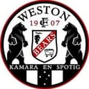 Weston Bears badge