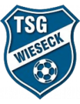 Wieseck U19 badge