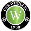Wikielec badge
