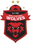 Wollongong Wolves U20 badge